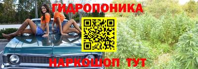 стаф Северобайкальск